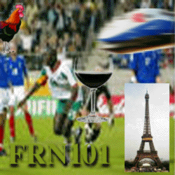 Frn 101